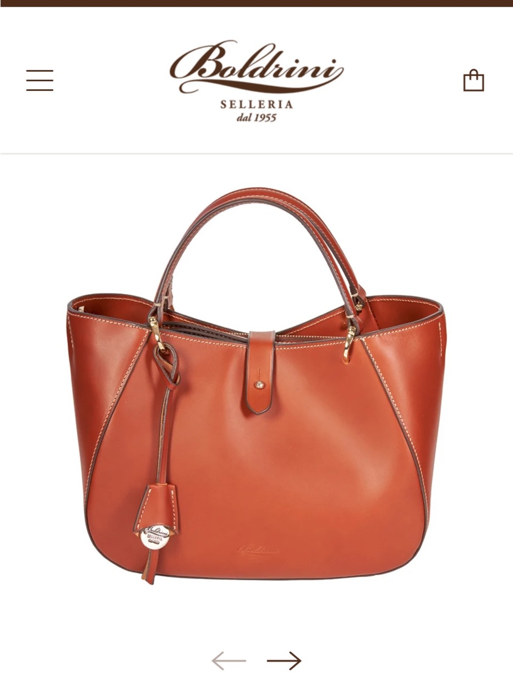 Boldrini Leather Shoulder Bag in Cognac